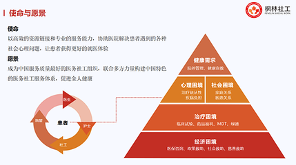 健全重特大疾病保障網(wǎng)，賦能醫(yī)務(wù)社工與咨詢(xún)服務(wù)業(yè)發(fā)展