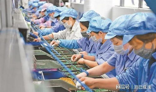 電子廠(chǎng)中工作關(guān)系的社會(huì)觀(guān)察 多維因素下的互動(dòng)模式