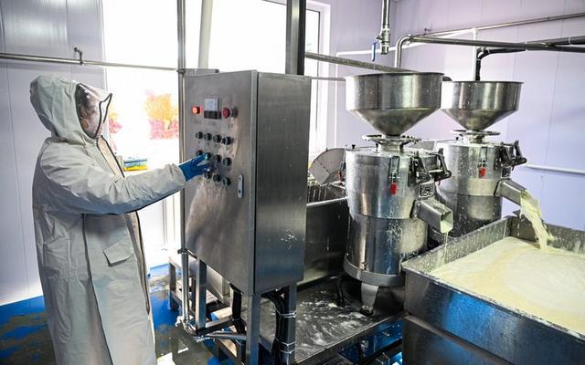“小豆腐”做出“大產(chǎn)業(yè)” 豆制品加工的非凡躍遷