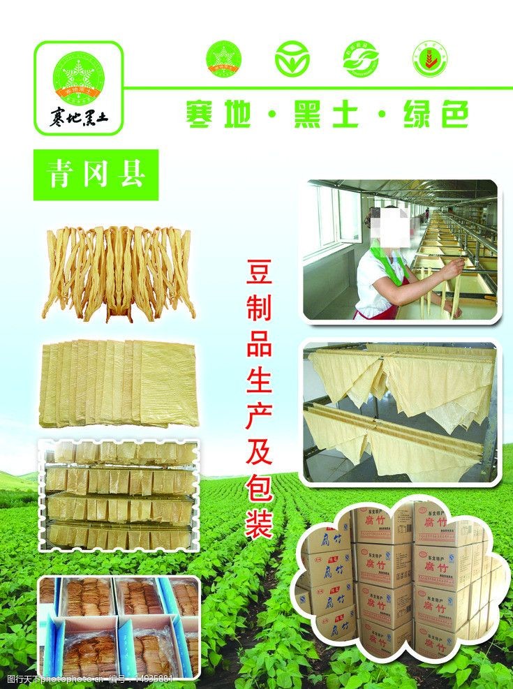 豆制品加工 傳統(tǒng)與現(xiàn)代化的交融之旅
