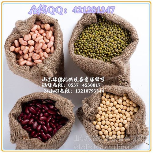 回歸石磨本味 從高效豆?jié){機(jī)到全能米漿機(jī)，解鎖豆制品加工新境界